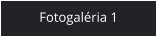 Fotogaléria 1
