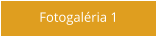 Fotogaléria 1