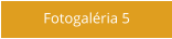 Fotogaléria 5