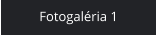 Fotogaléria 1