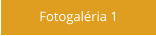 Fotogaléria 1