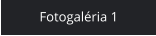 Fotogaléria 1