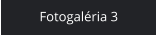 Fotogaléria 3