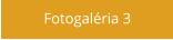 Fotogaléria 3