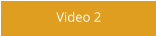 Video 2