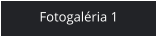 Fotogaléria 1