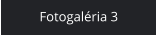 Fotogaléria 3