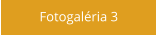 Fotogaléria 3