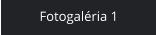 Fotogaléria 1